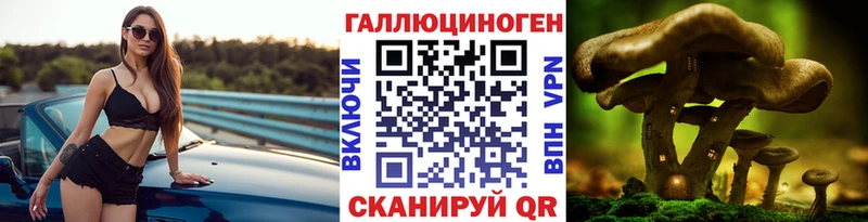 Галлюциногенные грибы мицелий  цены   Ладушкин 